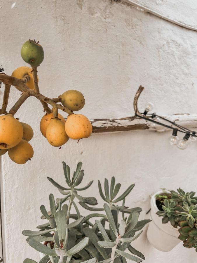 Apartamento C-Alma En El Corazon De Vejer Daire Vejer de la Frontera Dış mekan fotoğraf